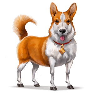 vild hest: welsh corgi