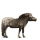 pony welsh brun
