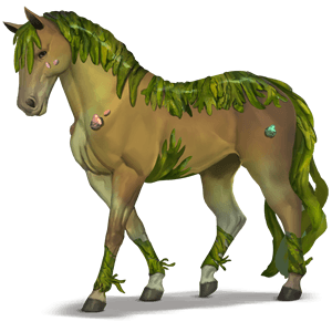 den guddommelige hest alga